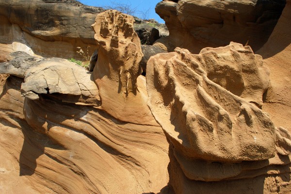 El Parque Nacional Cerros de Amotape
