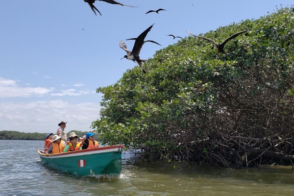 El Santuario Nacional Manglares de Tumbes
